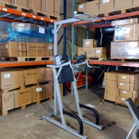 Matrix Captain's Chair Vertical Leg Raise Pullup/Dip Combo